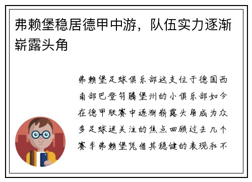 弗赖堡稳居德甲中游，队伍实力逐渐崭露头角